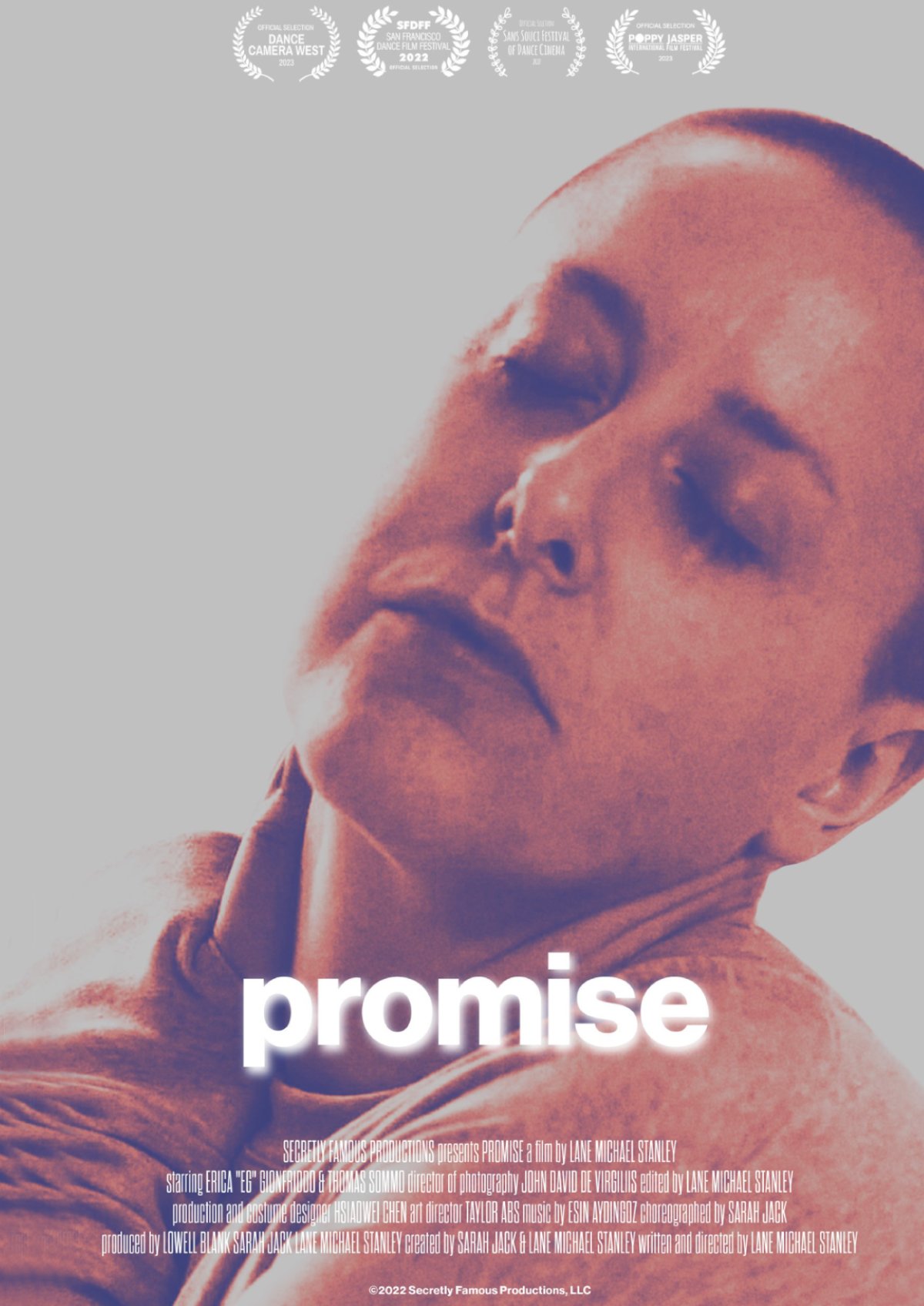 Promise+Poster_Web_Laurels-main